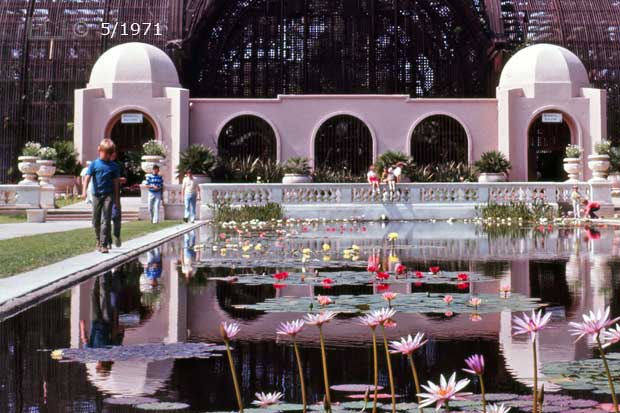 B/W photo: Child on edge of water pond in front of Botanical Building - Embedded text: 5/1971