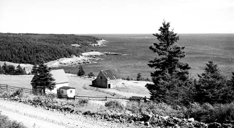 grayscale photograph: a fenced farm by the seashore