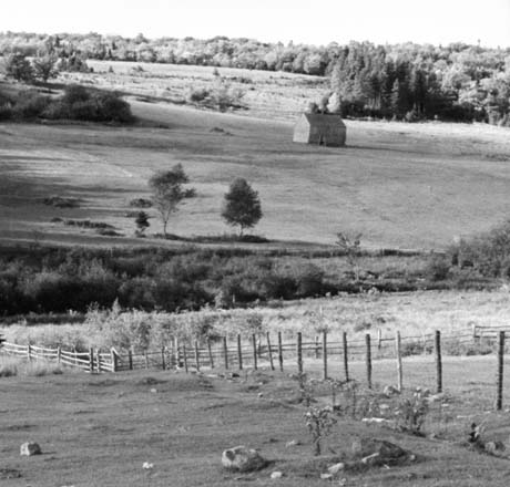 grayscale photograph:fenced farmland