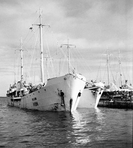 grayscale photograph