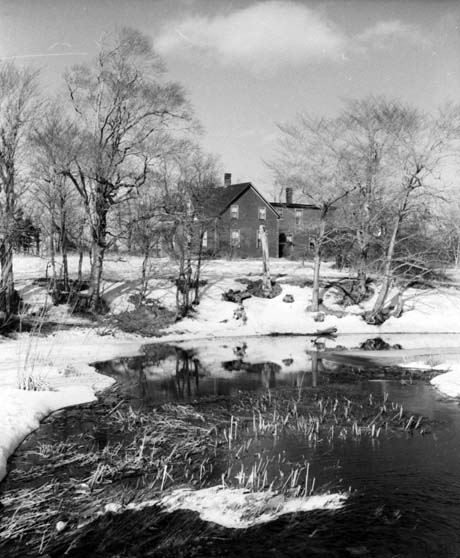 grayscale photograph: snowscape