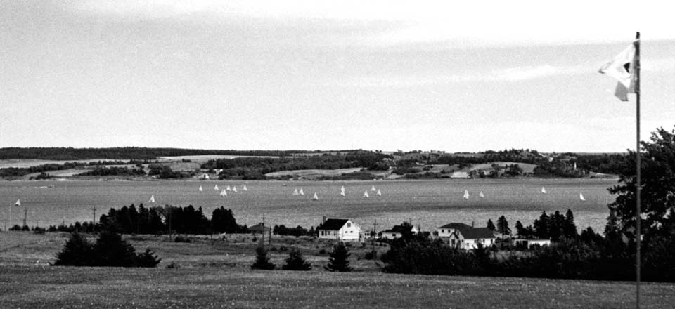 grayscale photograph: idylic scene with dozen+ sailboats in distance