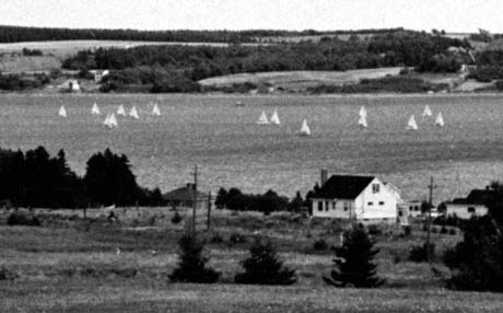 grayscale photograph: idylic scene with dozen+ sailboats in distance
