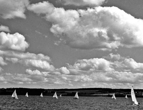 grayscale photograph: many sailboats and puffy clouds
