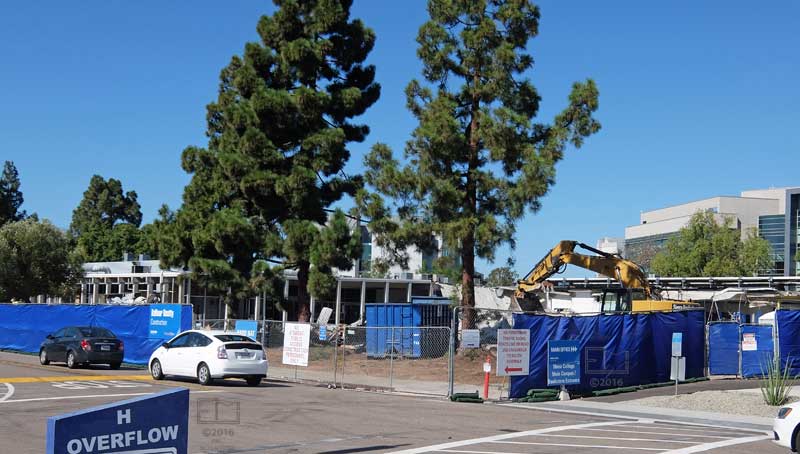 View of construction site, and 2 tall trees, from across street with traffic going by