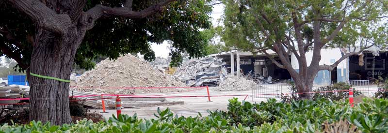 Vegetation and trees in foreground with rubble piles and half demolished building in background