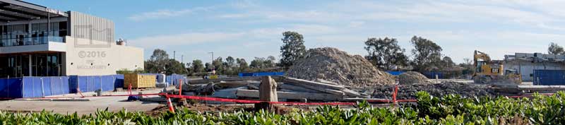 Tree stumps, rubble piles and dumpsters beyond foreground vegetation