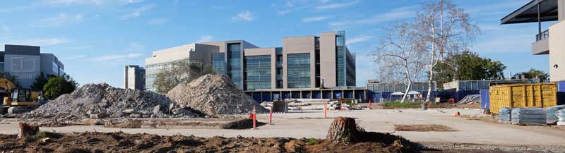 Tree stumps and rublle piles in front of the Math/Science building