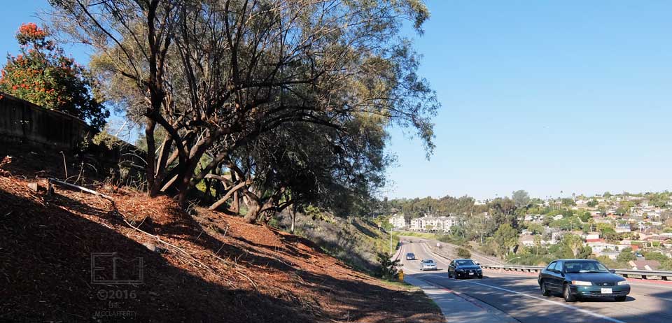 Hillside w/o  brush on left - trafficed roadway on right