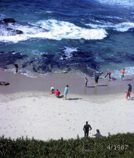 K14 color photo - Portrait view of beach and ocean from cliff above - Embedded text: 4/1968