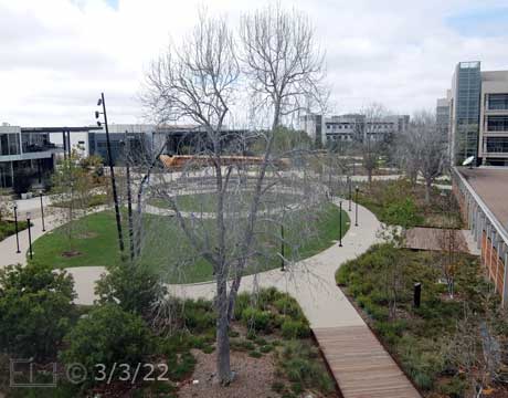 Elevated view of Quad, from East