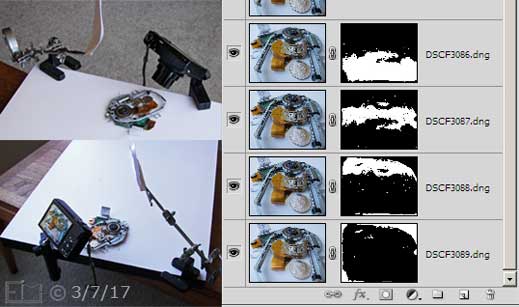 Color photo: Montage showing how previous focus stack image was shot and assembled