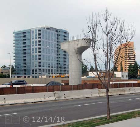 Color photo: Lone trolley line support pillar with multi-story buildings in background and small, recently planted tree in foreground - Embedded text: 12/14/18