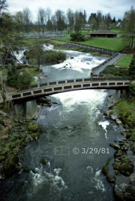 Color photo: Elevated, portrait view of pedestrian bridge over white water creek - Embedded text: 3/29/81