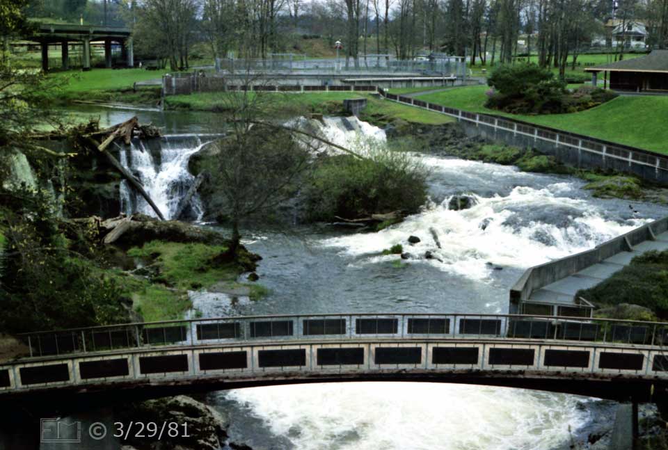 Color photo: Elevated, landscape view of pedestrian bridge with frothy waterway and parkland in background - Embedded text: 3/29/81