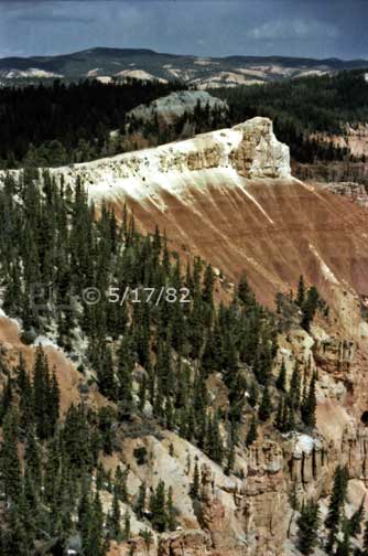 Color photo: Trees and forest surrounding rock formation atop a Cliffside - Embedded text: 5/17/82