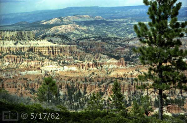 Color photo: Rim-side vegetation in foreground with eroded rock landform as backdrop - Embedded text: 5/17/82