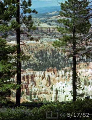 Color photo: Rock formations and landscape framed by 2 trees - Embedded text: 5/17/82