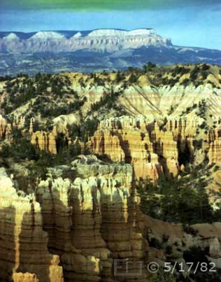 Color photo: Eroded rock, pillars and pinnacles of Bryce Canyon - Embedded text: 5/17/82