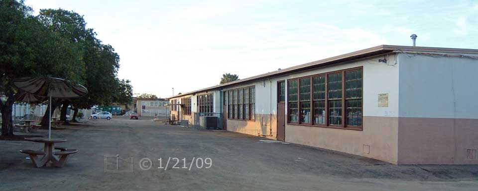 Color photo: A line of trees and old West City Center building  - Embedded text: 1/21/09