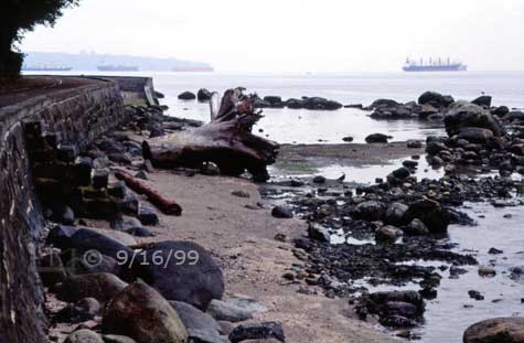 Color photo: Stanley Park Seawall/Shore with freighters on distant horizon - Embedded text: 9/16/99