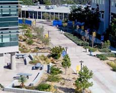Color photo: Elevated overview of the distant fencing and building (bookstore...) to be demolished; viewed from the LRC