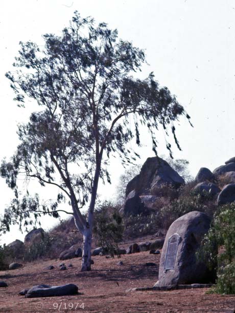 E6 Color image: Oblique view of monument with tree and hillside boulders in background