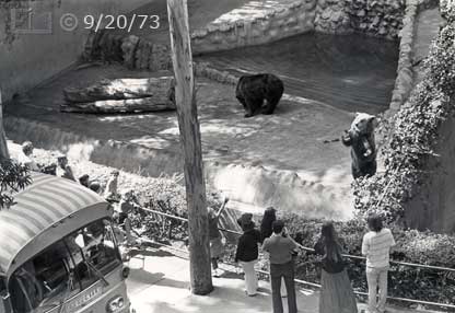 B/W photo: Bear performing for tour bus/food - Embedded text: 9/29/73
